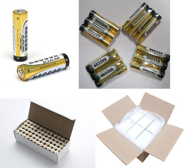 Naccon-Power-Technology-Co-Ltd- (2).jpg